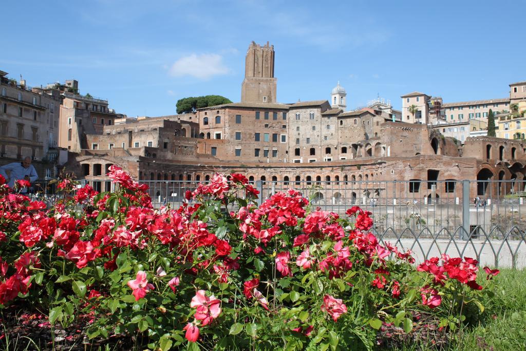 All Colosseo *