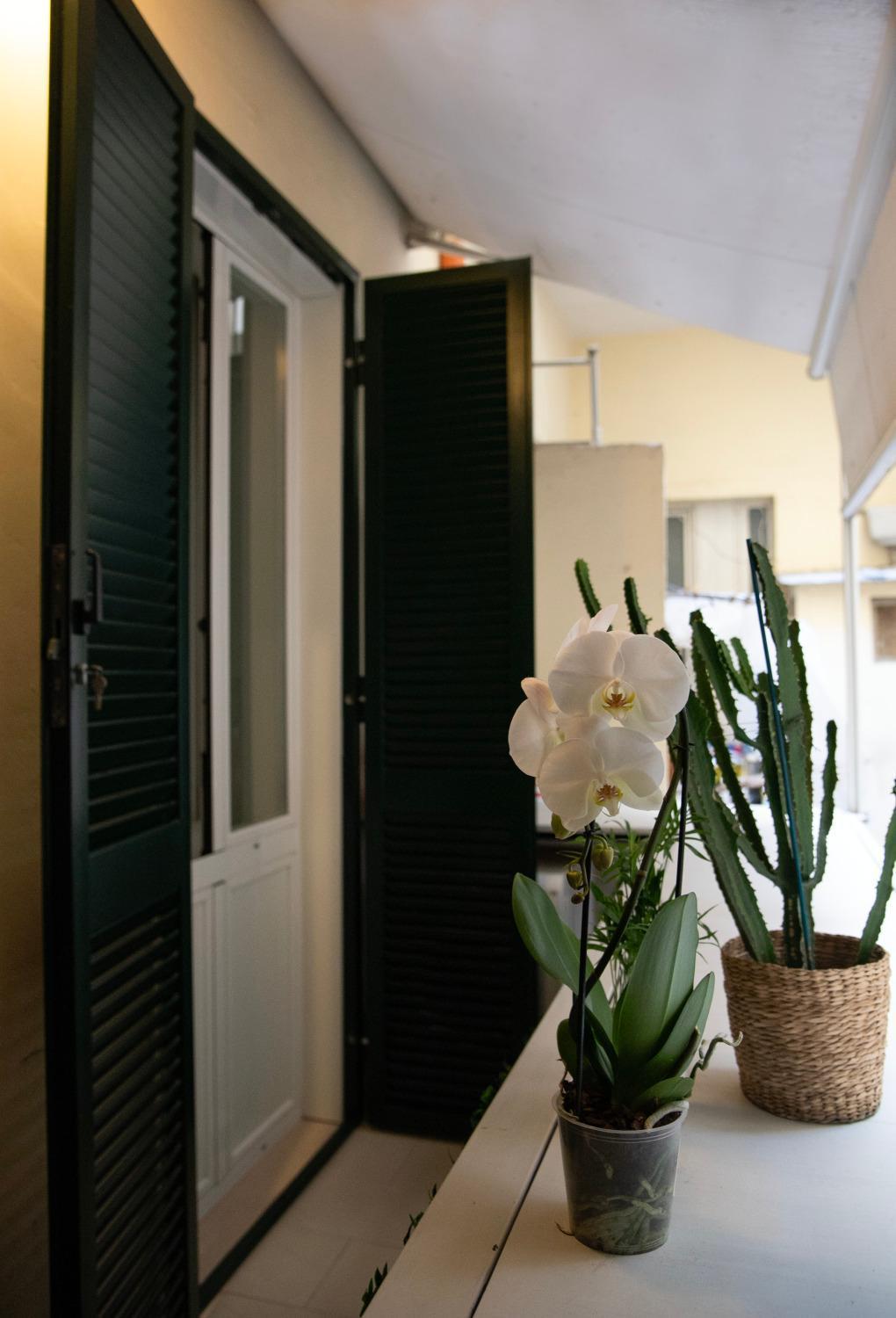 House Domusella Appartamento Roma