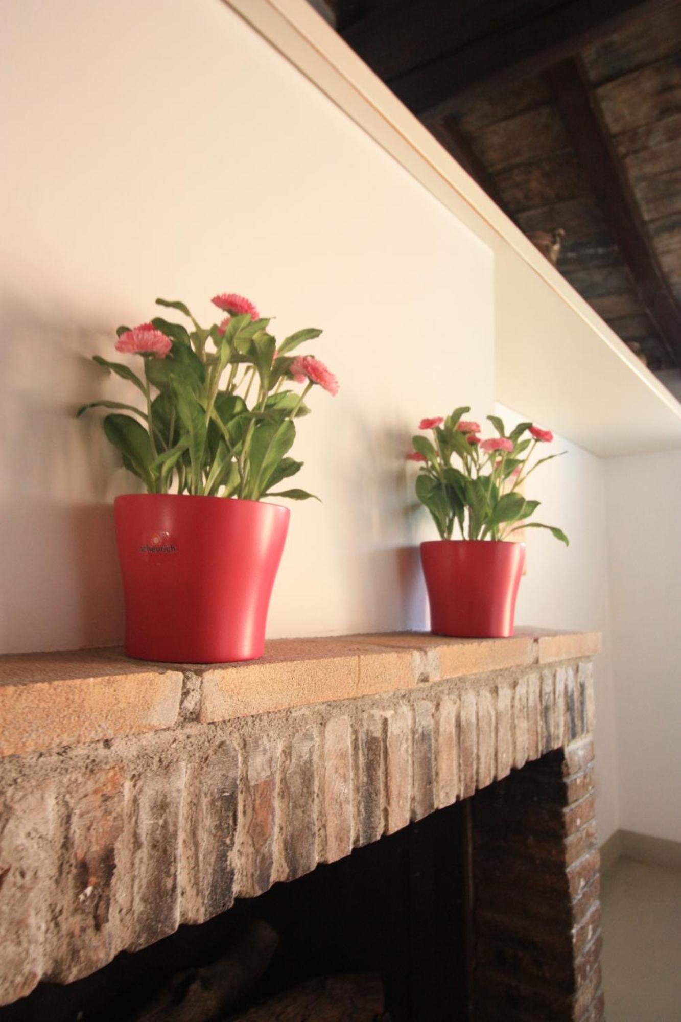 Bed & Breakfast Calisto 6 Rome