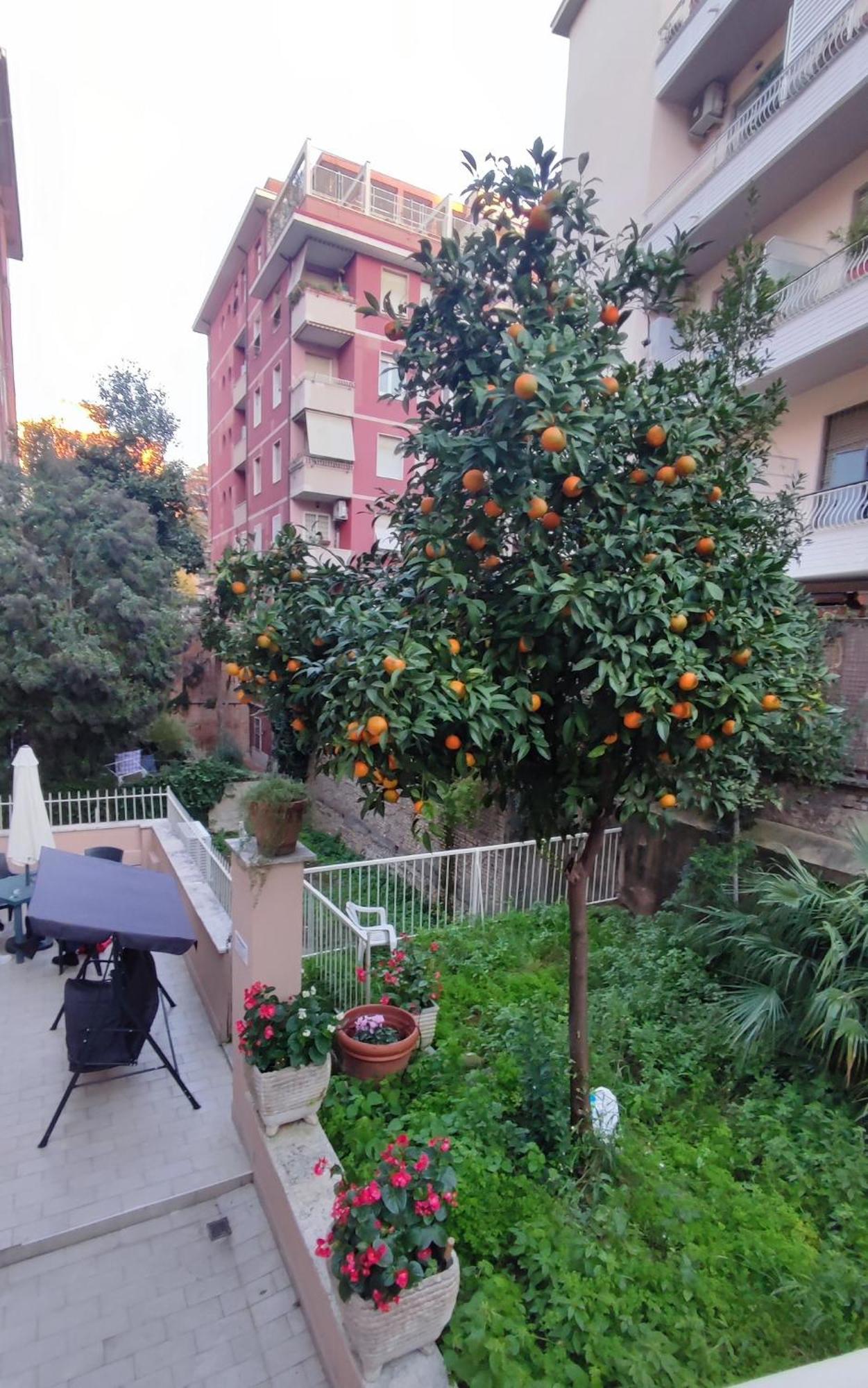 Guest house Vatican Garden Rome