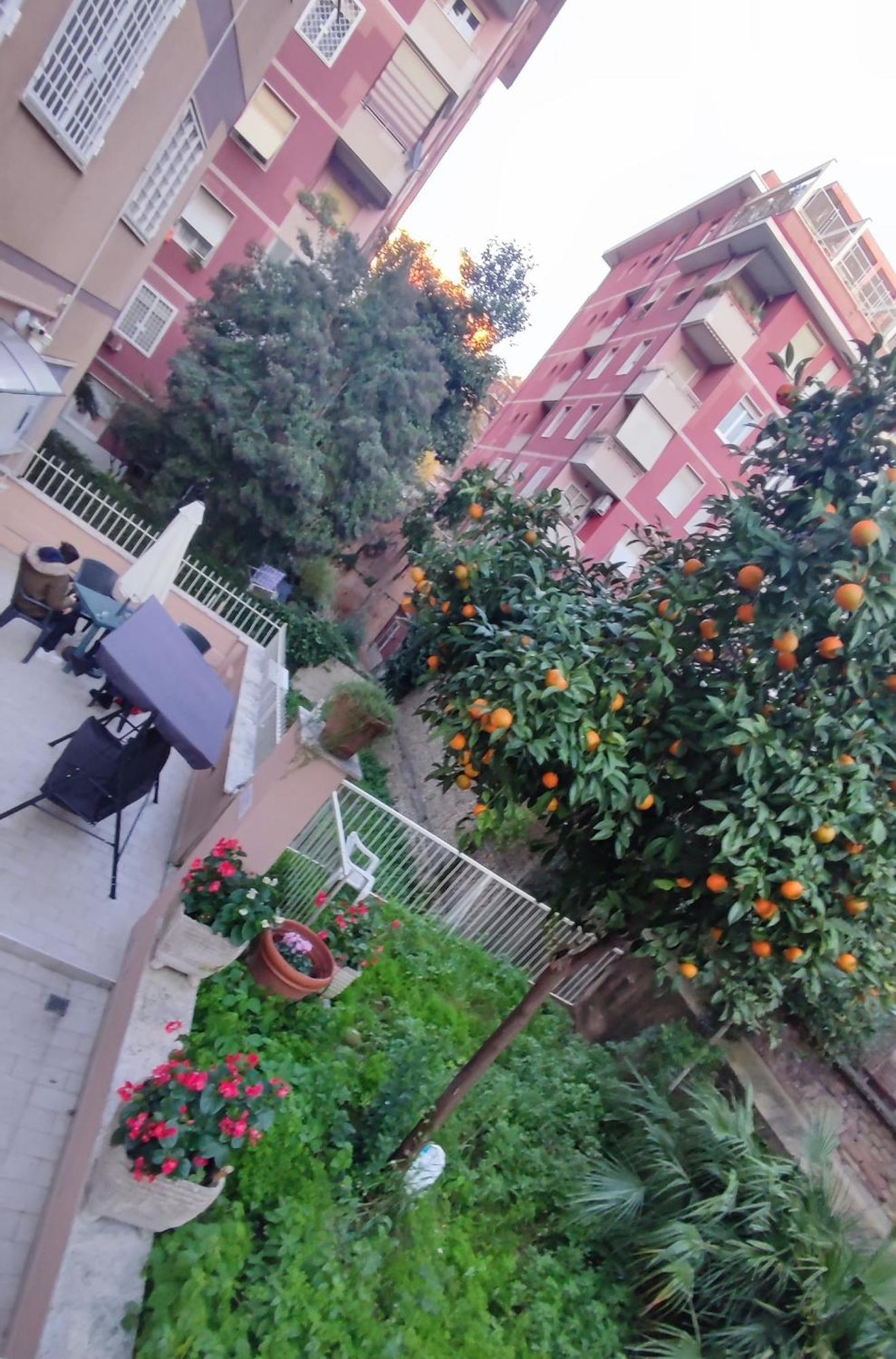 Vatican Garden Guest house