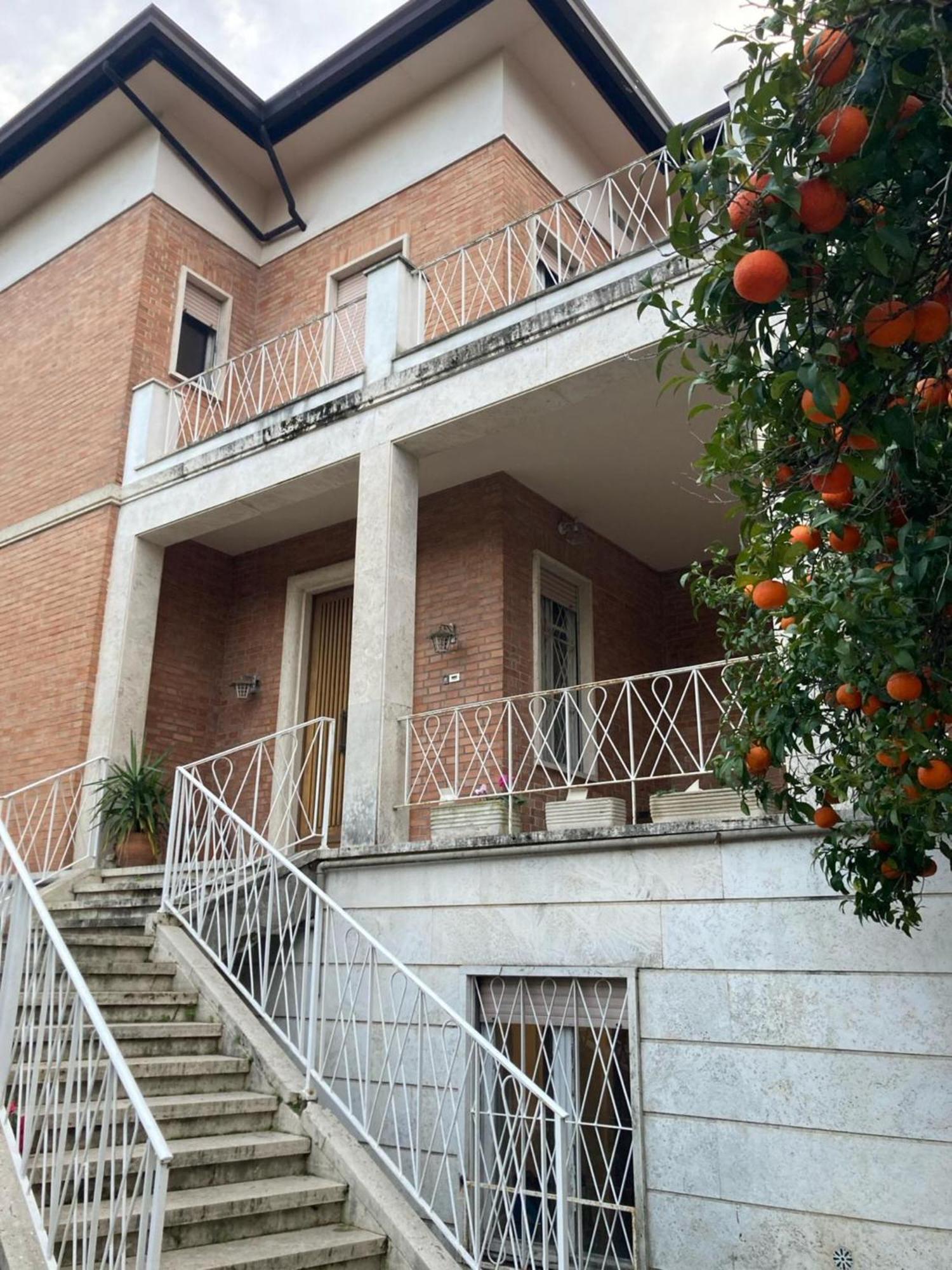 Guest house Boutique Maximus