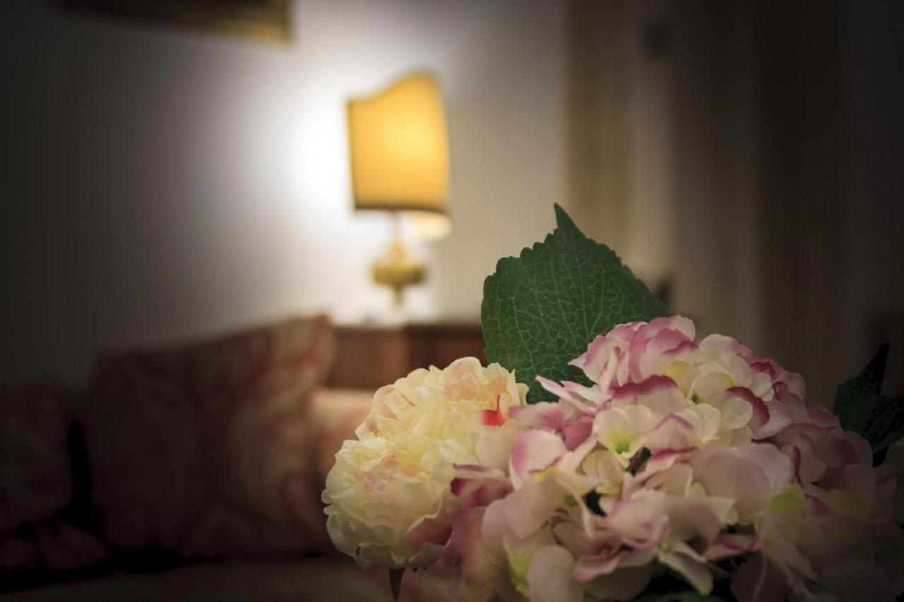 Apartment Palazzo Donarelli *