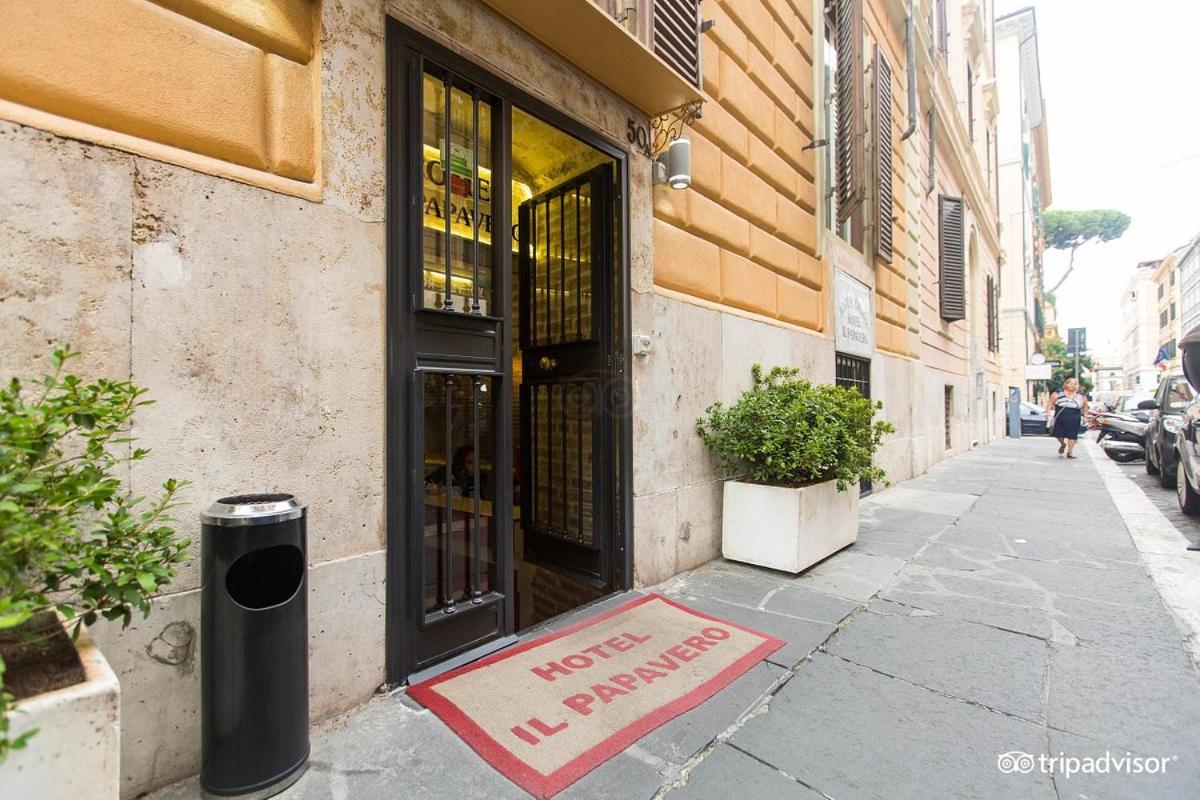 Il Papavero