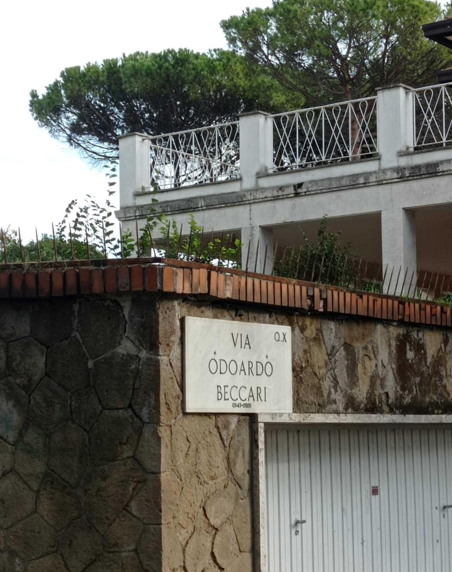 Boutique Maximus Guest house