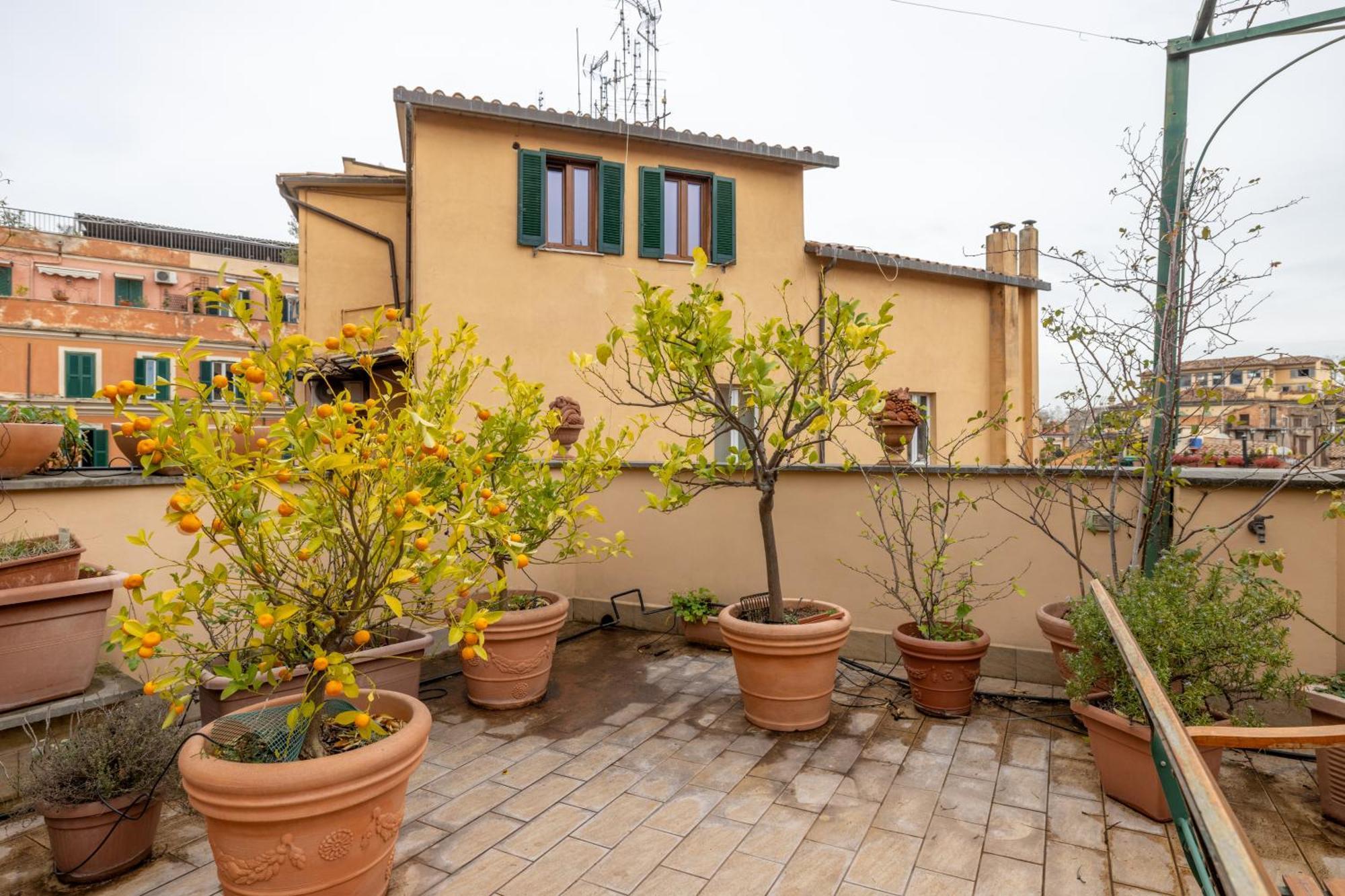 Maison Pelliccia Terrace Appartamento *