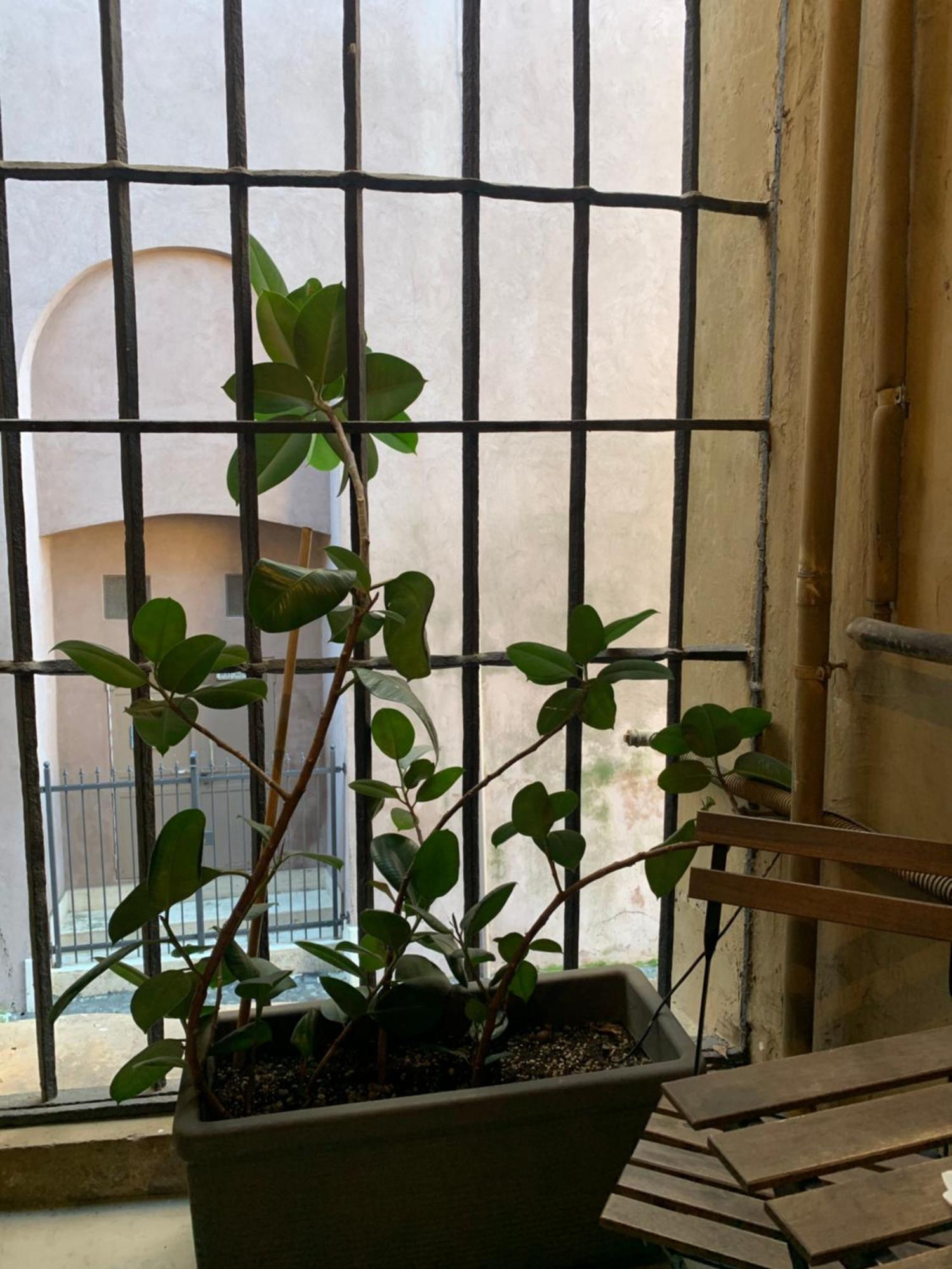 Casacau Apartment