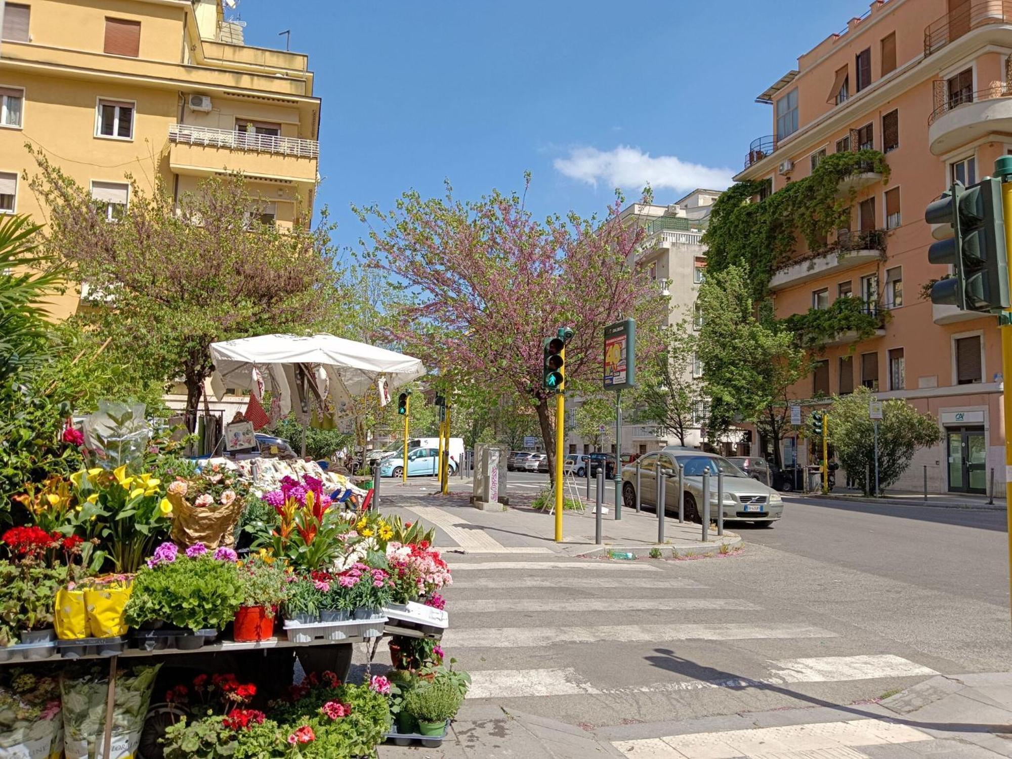 Livorno By Halldis Rome