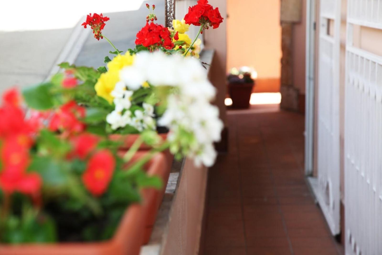 Guest house Vaticano84 Rome