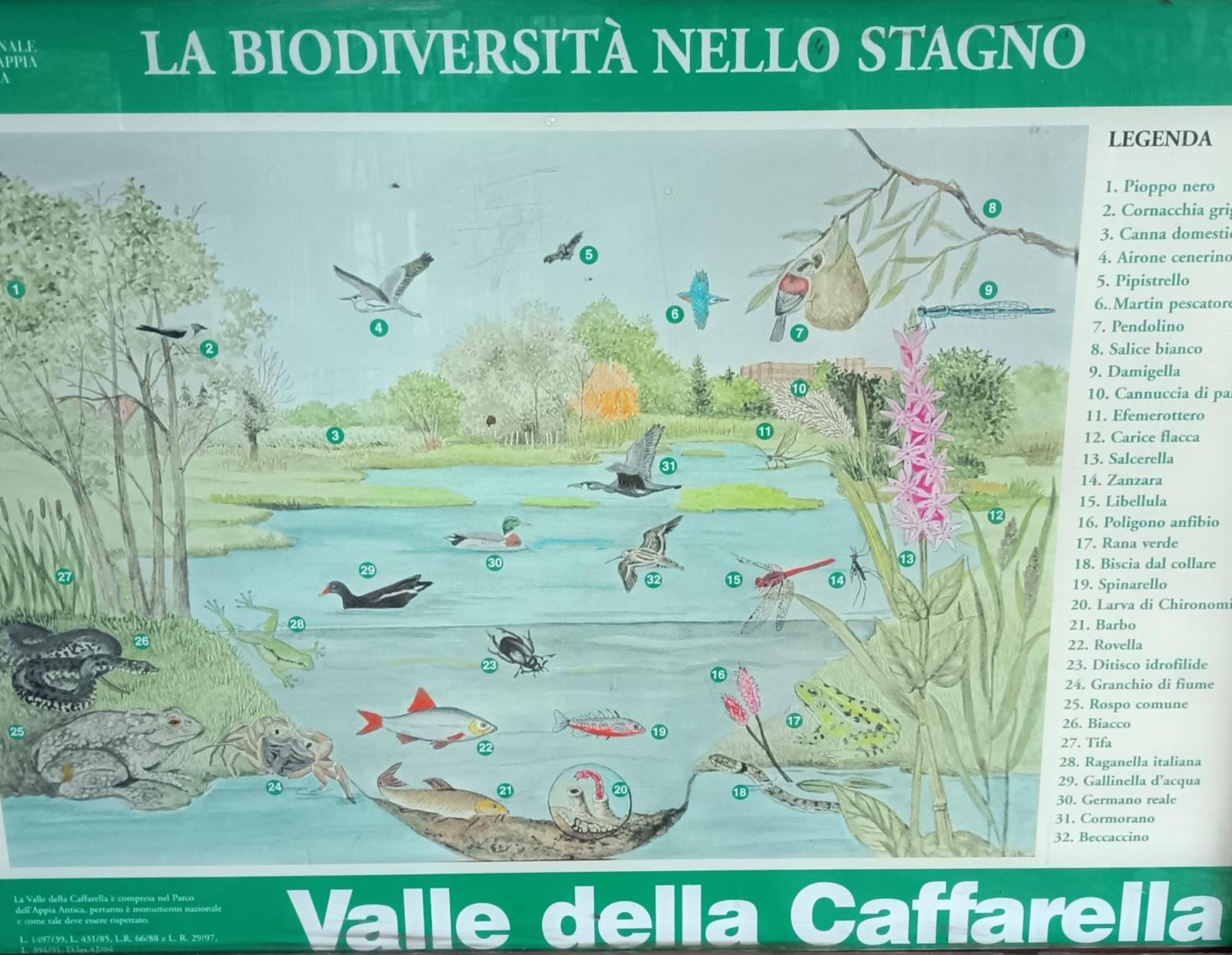 Casa Mia Metro A Nuovo Roma