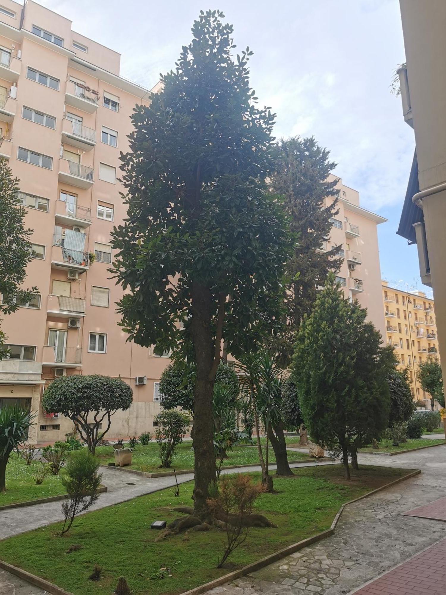Apartment Don Bosco Near Metro A