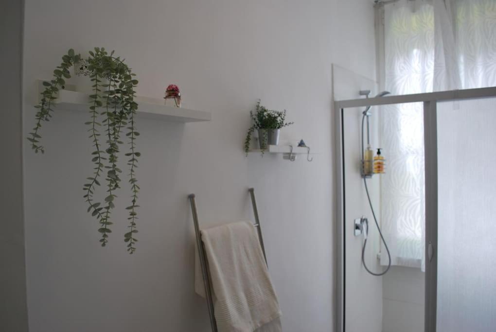Domus 95