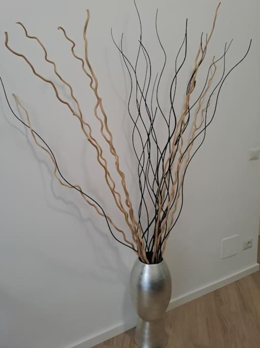 Apartment Domus 95 Rome