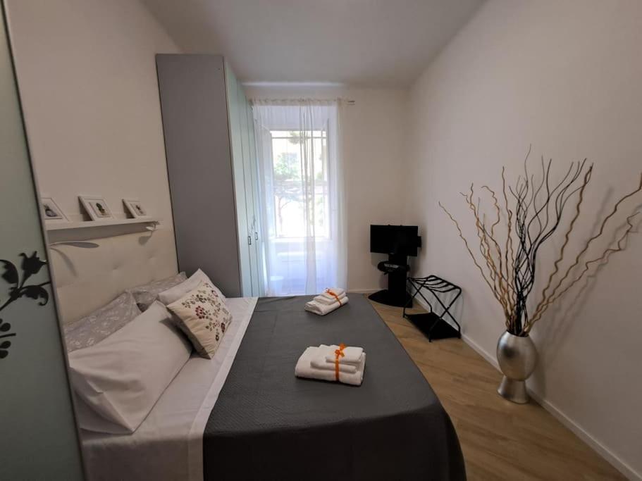 Apartment Domus 95 *
