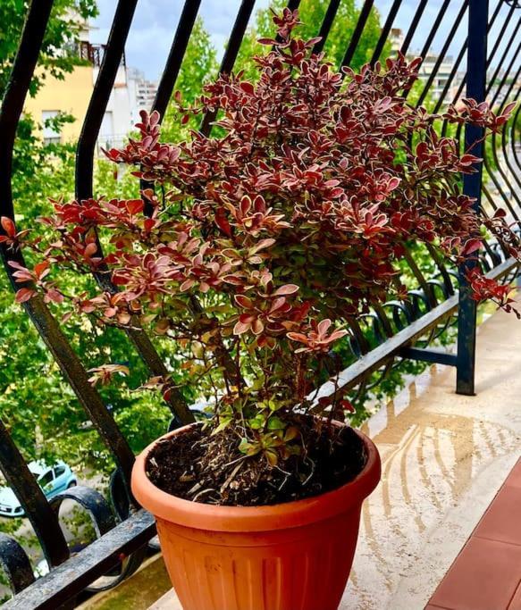 Apartment I Tre Moschettieri Rome