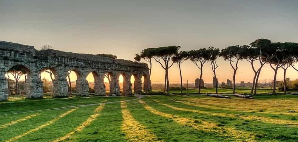 Domus Drea *