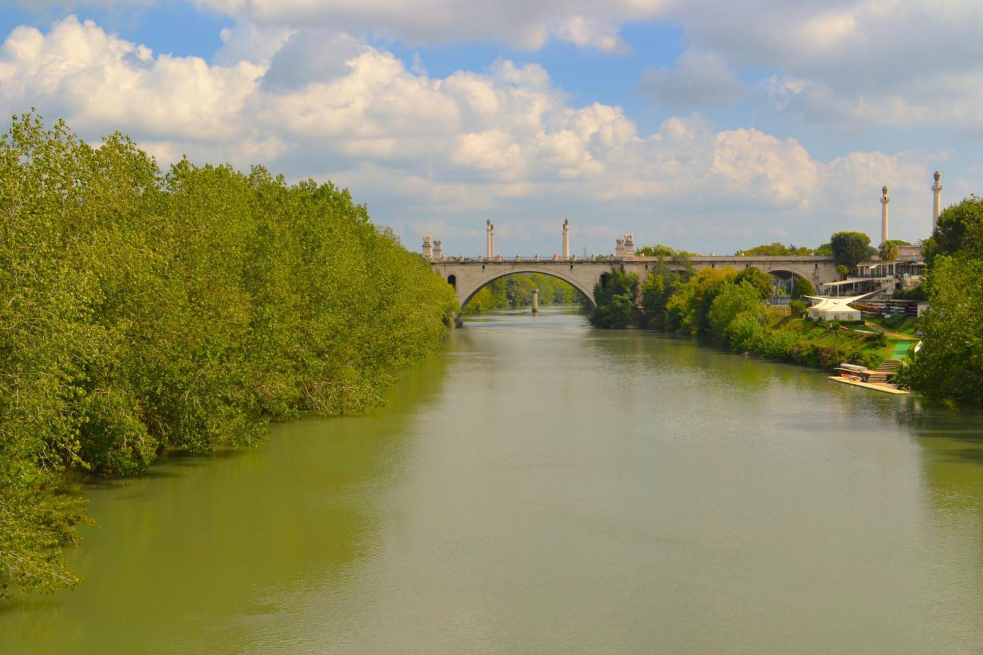 Ponte Milvio Art Holiday home *