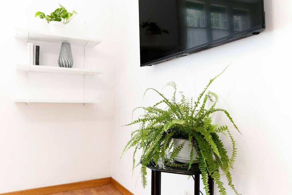 Holiday home Domus Boito Rome