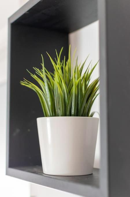 Apartment Living - San Paolo *
