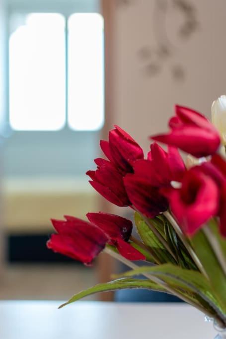 Living - San Paolo Apartment