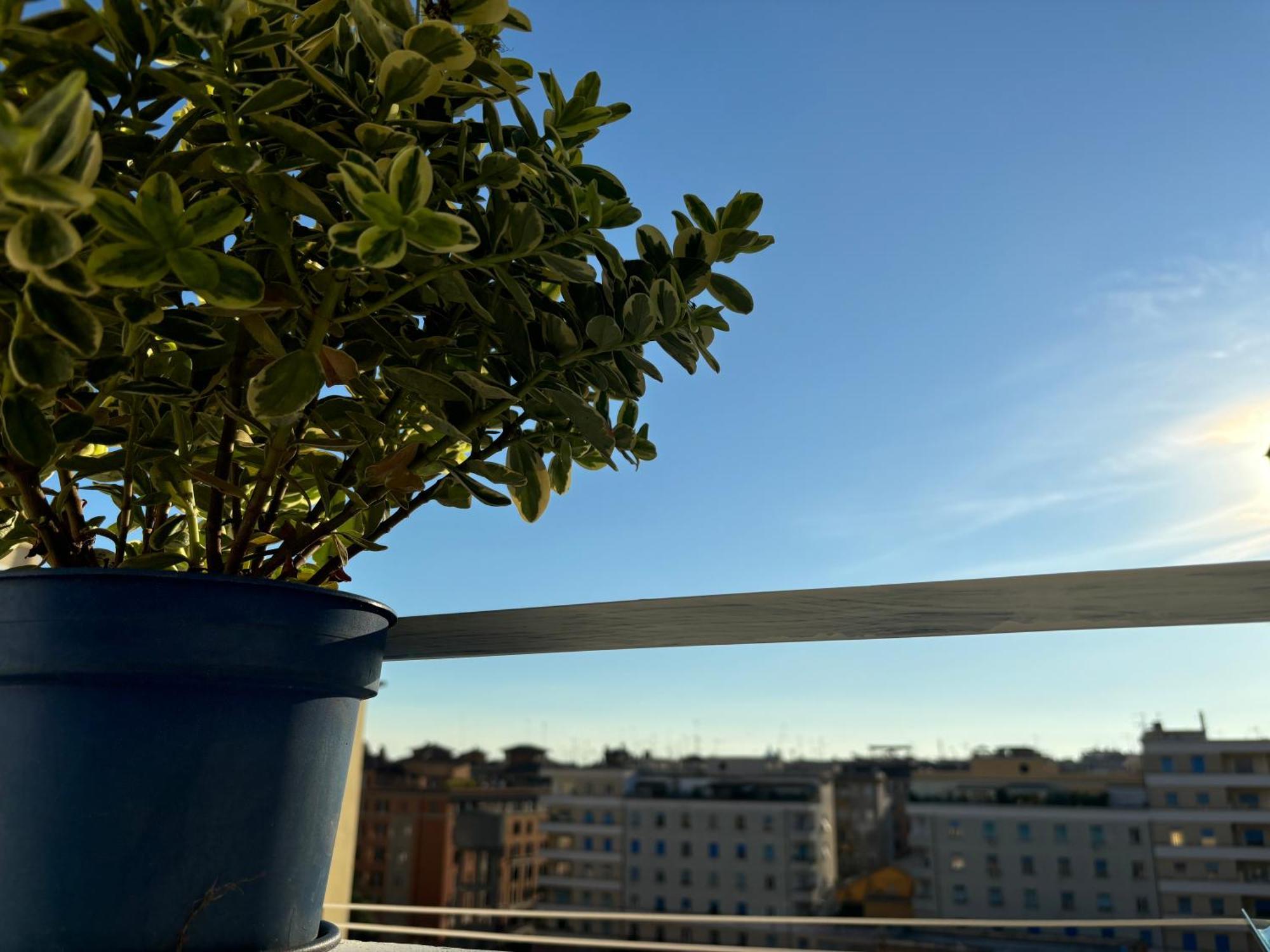 Living Flaminio - Ad Uso Turistico Guest house *