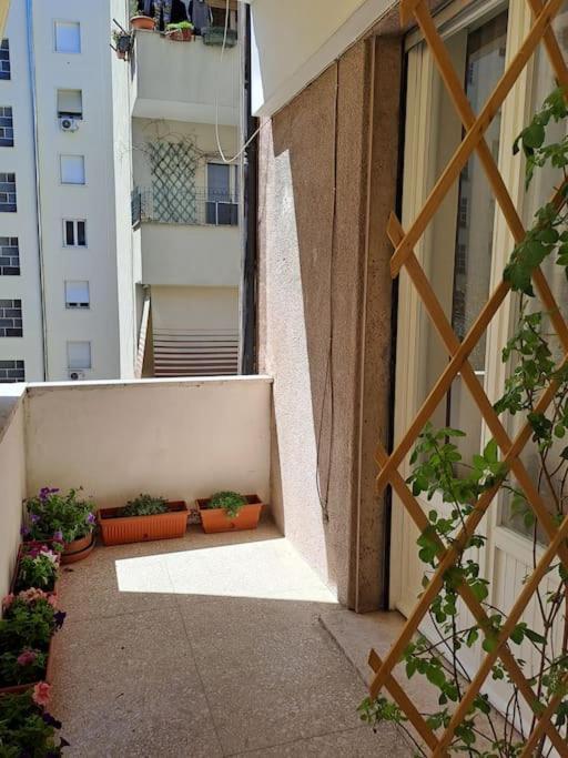 Apartment Casa Daisy Rome