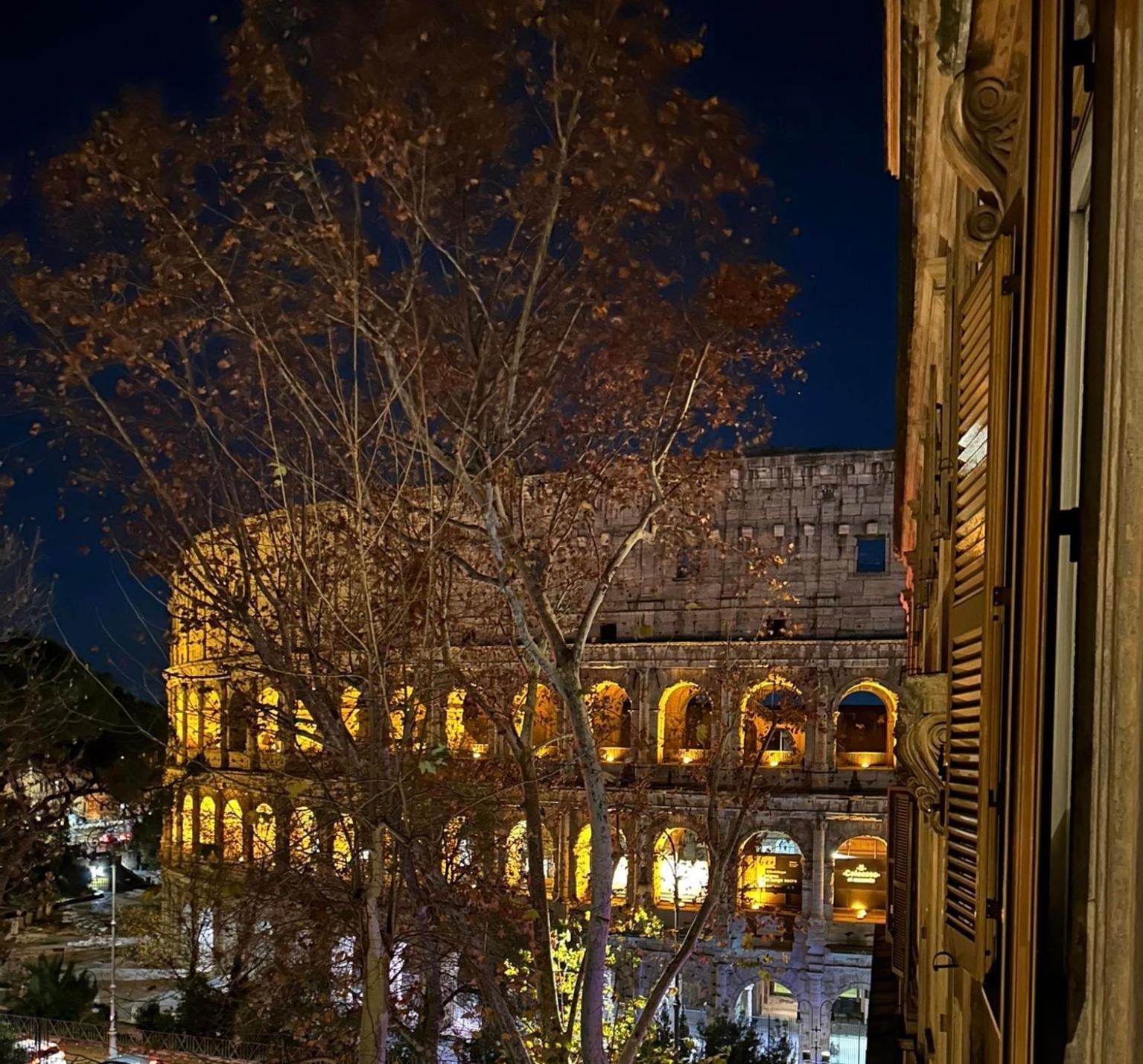 Colosseum's Custodian - 115 M2