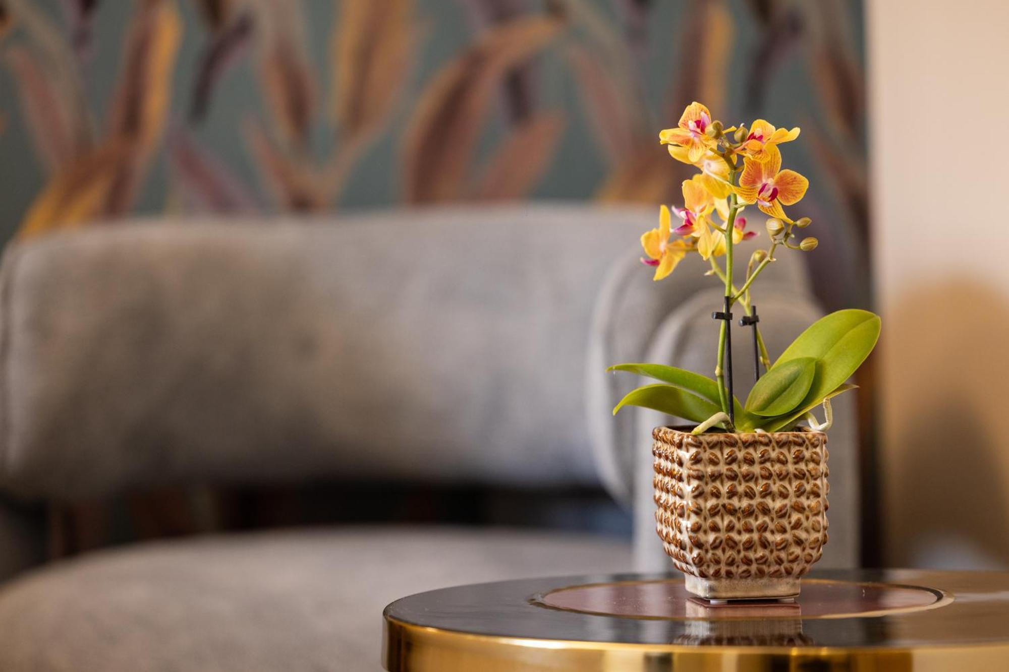 Mavi Luxury * Roma