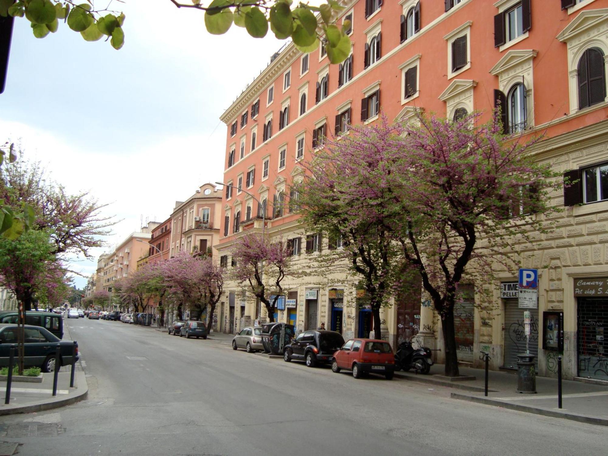 Mamomi House * Rome