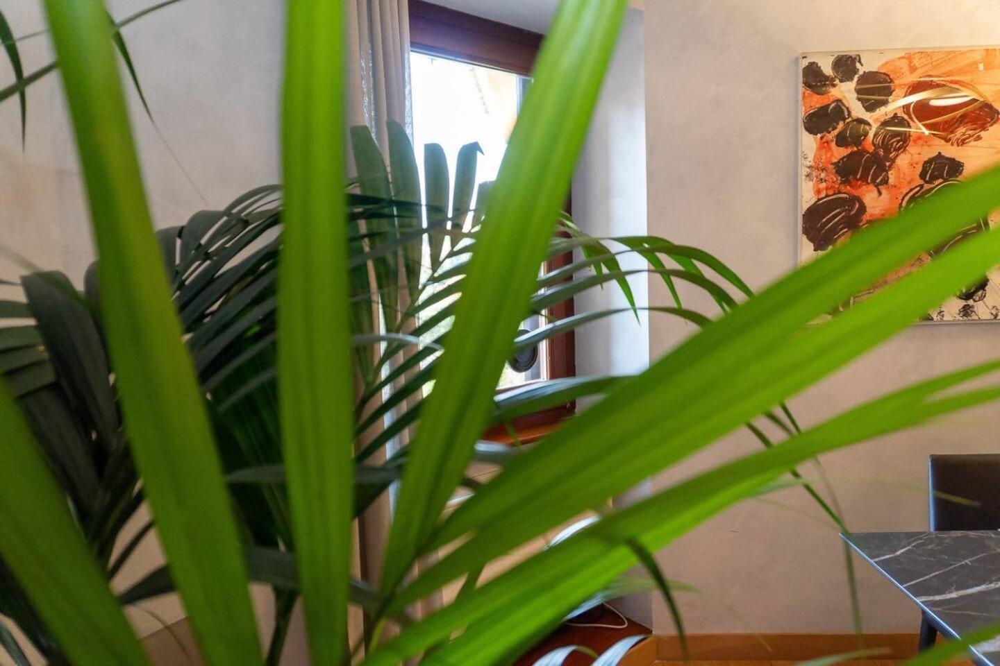 Apartment Divine View Rome