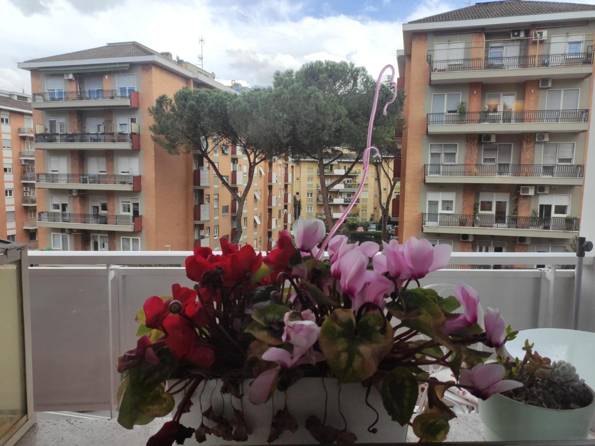Appartamento Cinthia's House Roma