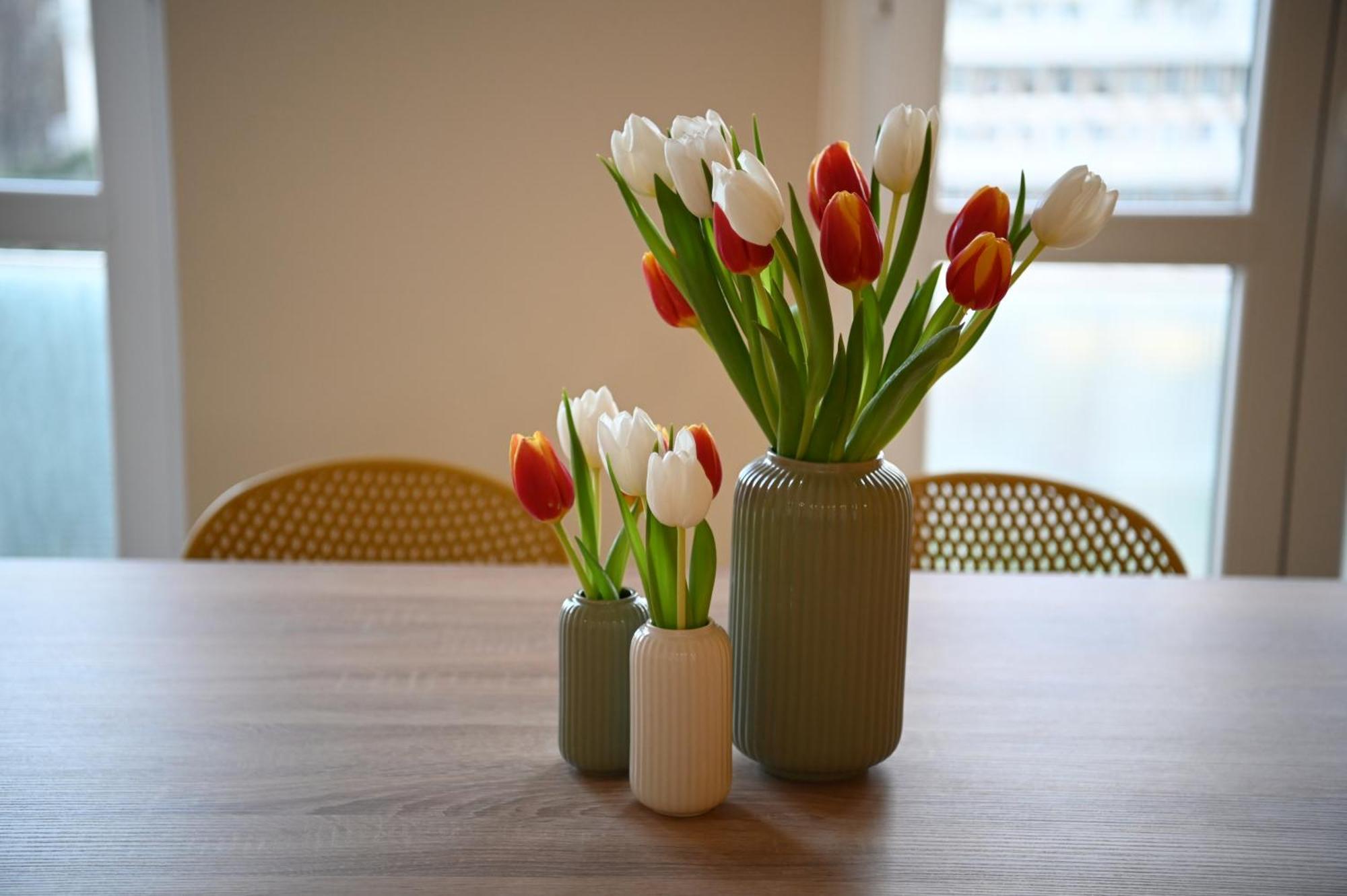 Apartment Per Famiglie - Metro A - 20min Dal Centro Rome