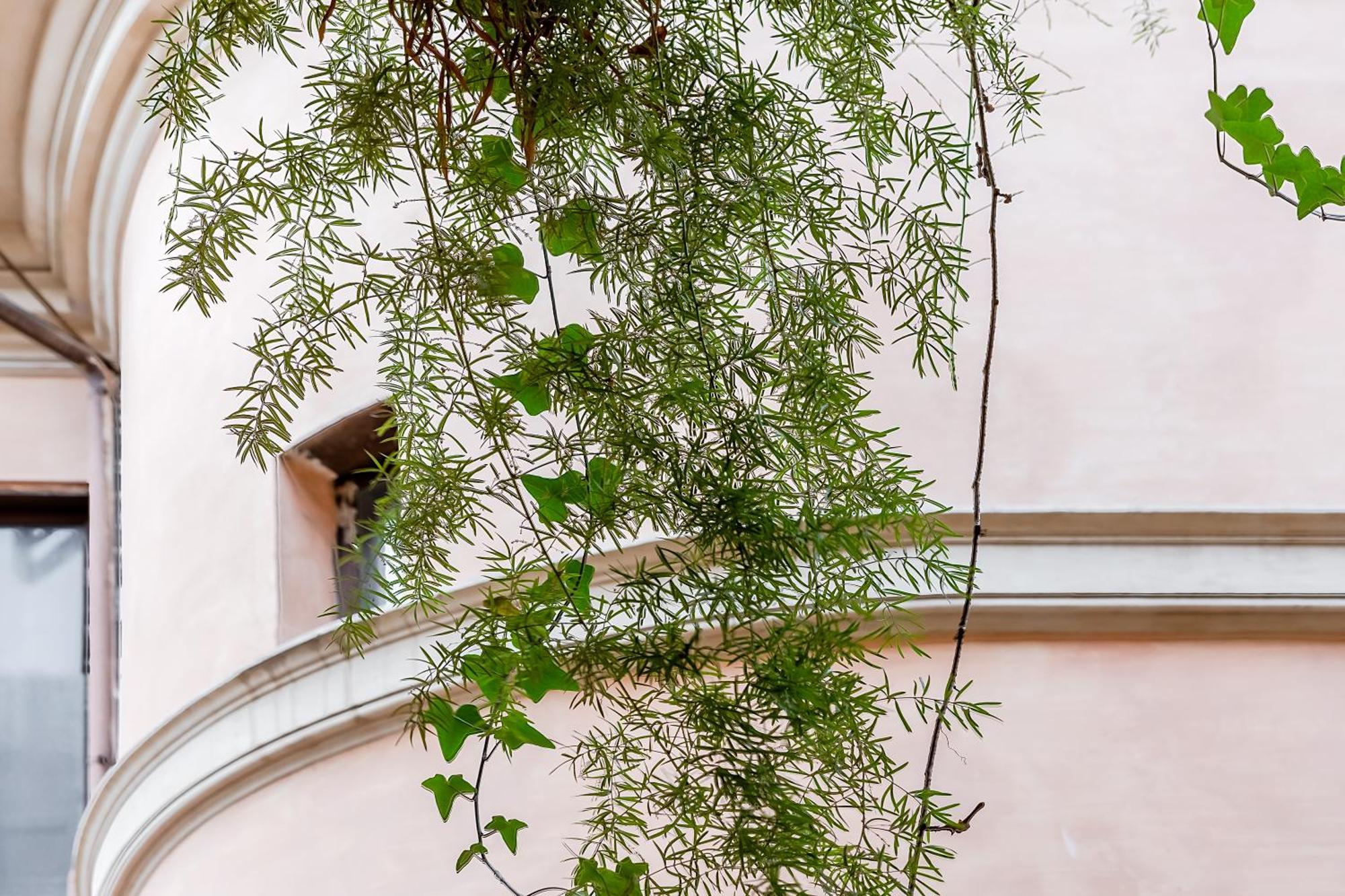 Apartment Trevi Fountain Stylish Rome
