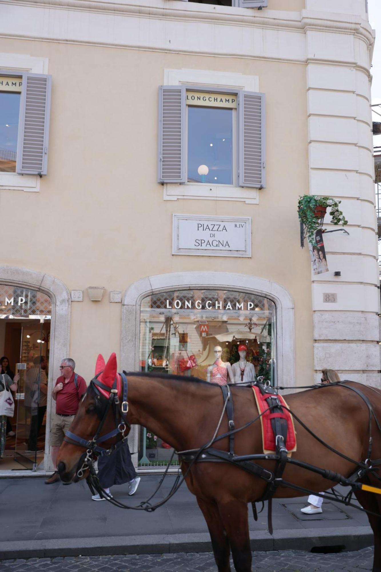Deluxe Spanish Steps *