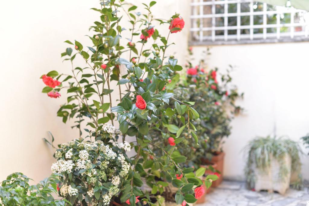 Apartment Luxury Parioli