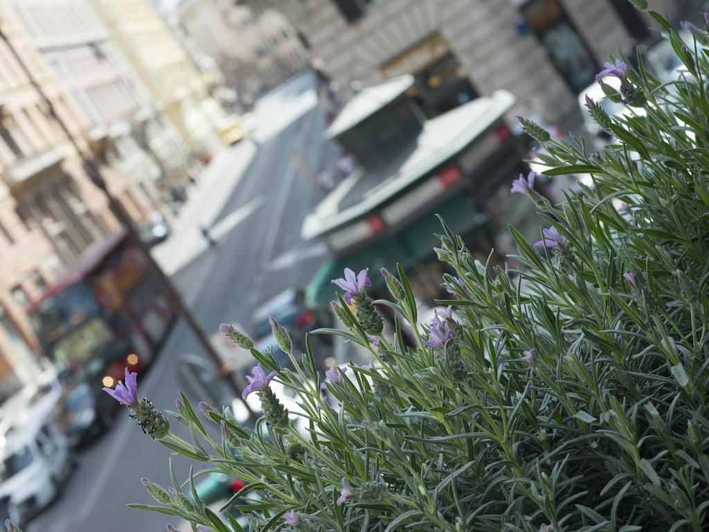 Corso Vittorio 308 Bed & Breakfast Rome