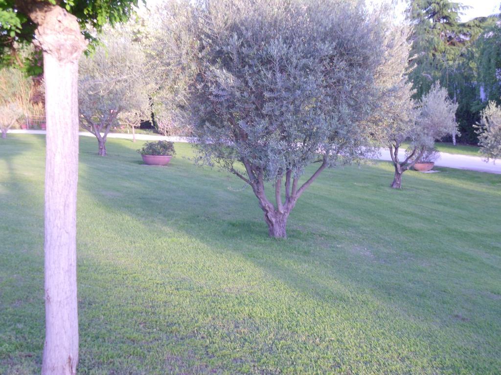 Guest house Luxardotel Rome