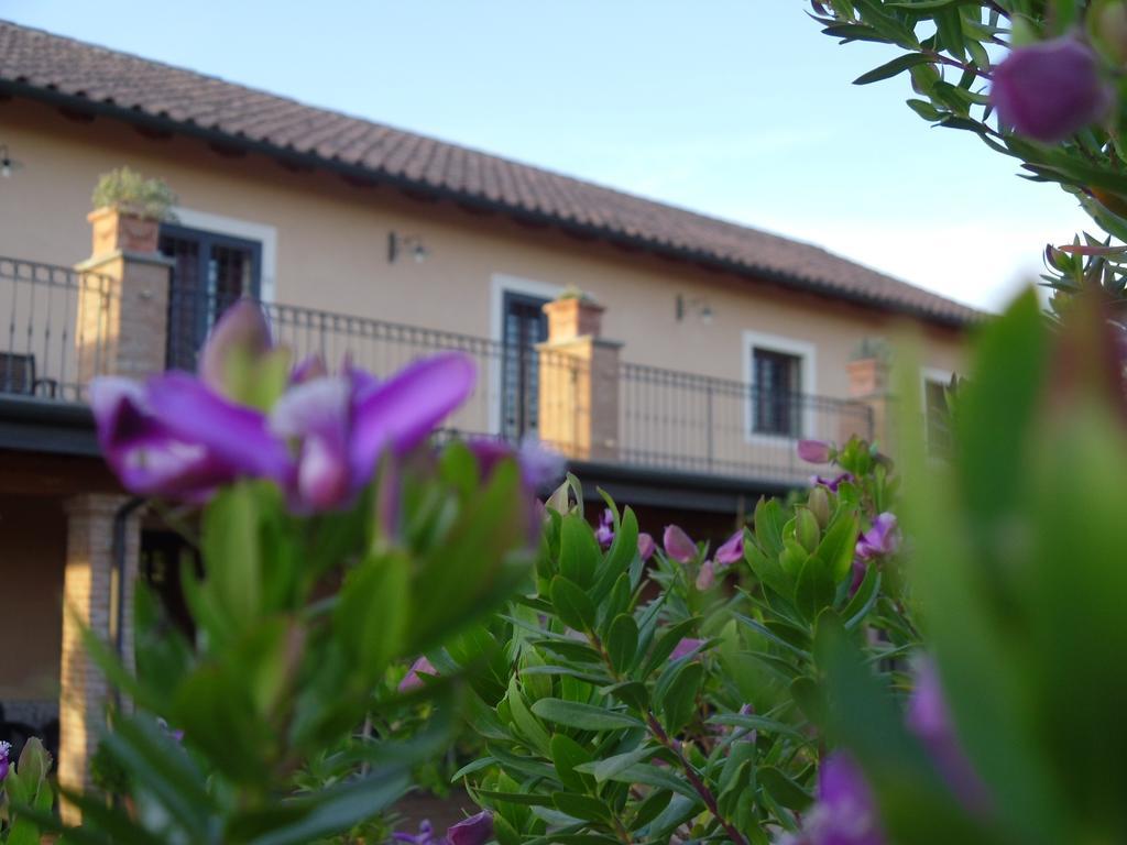 Guest house Luxardotel