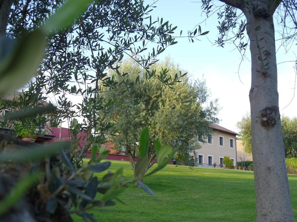Luxardotel Guest house 2*