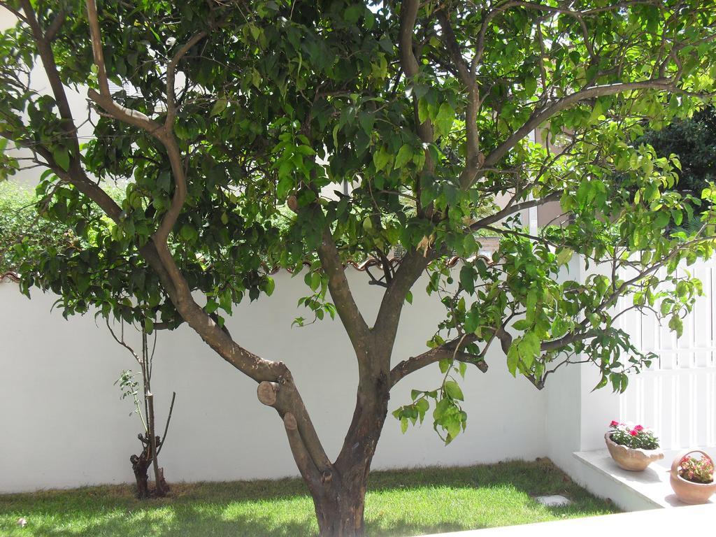 Bed & Breakfast Casa Santolina Rome