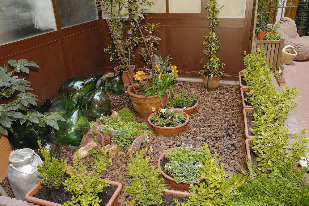 Dulcis In Pantheon Guest house Rome