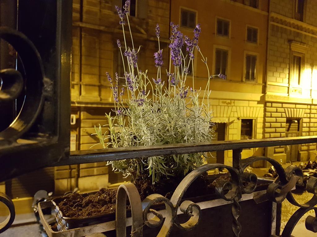 Loft Pantheon Roma