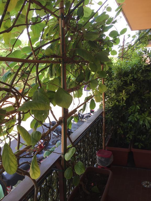 La Fontana Di Carlotta Bed & Breakfast Rome