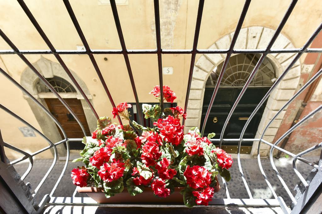 Apartment Maison Del Fico Piazza Navona
