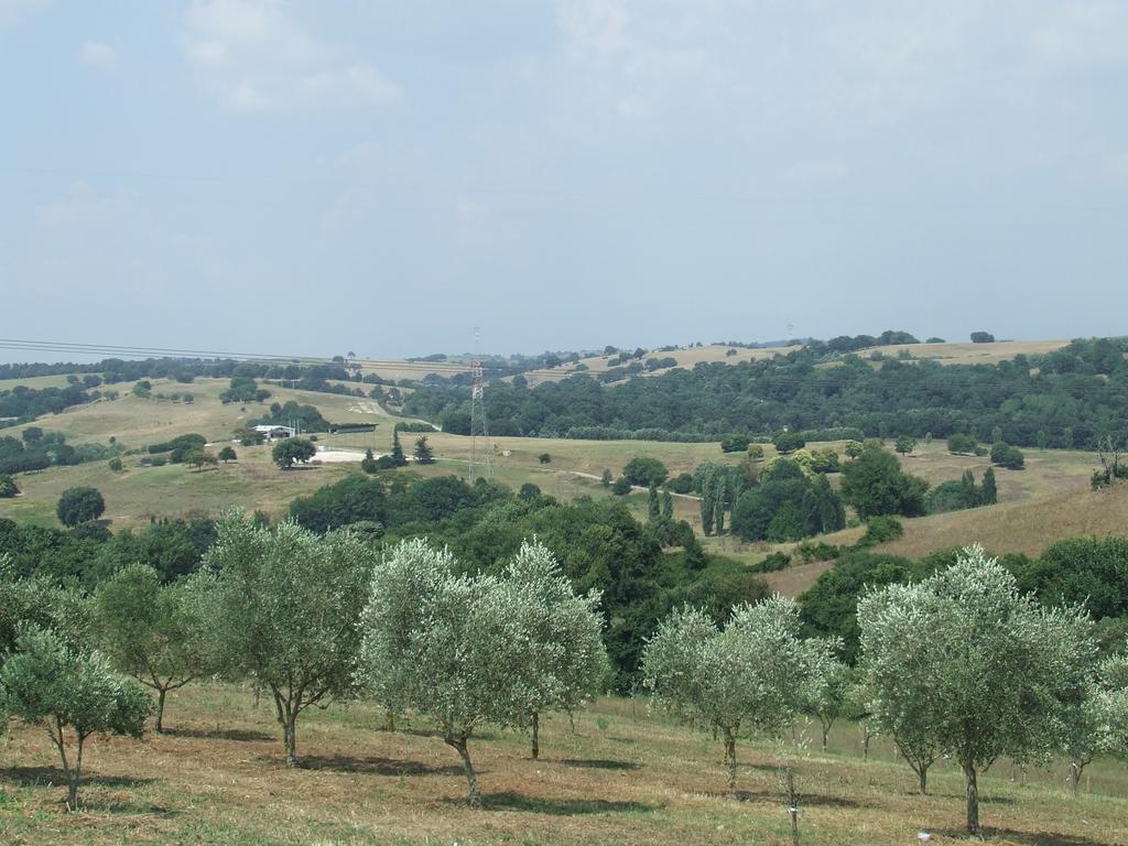 Il Casale Di Alloggio per agriturismo Roma