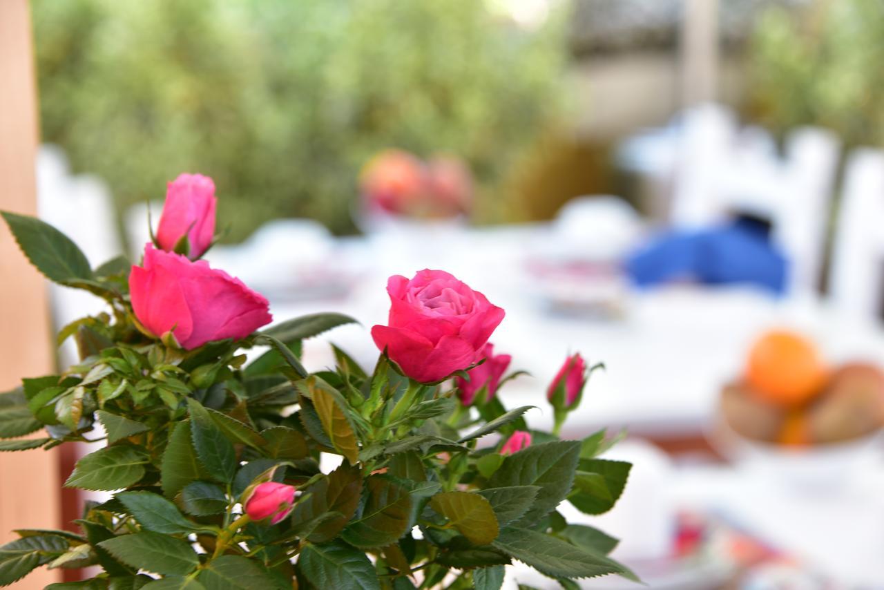 Bed & Breakfast Quodlibet Rome