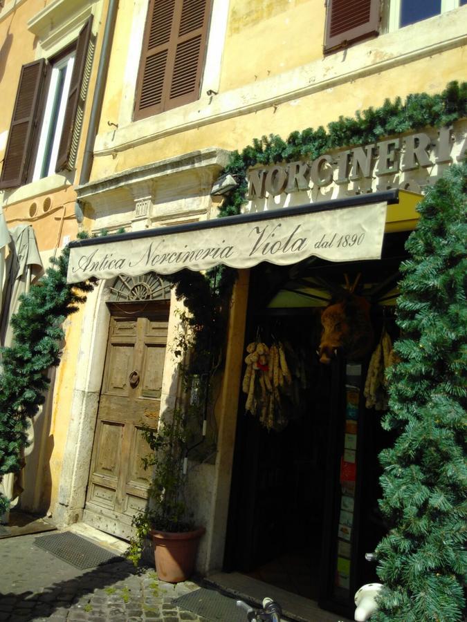 Campo Dei Fiori Funny Flat Apartment