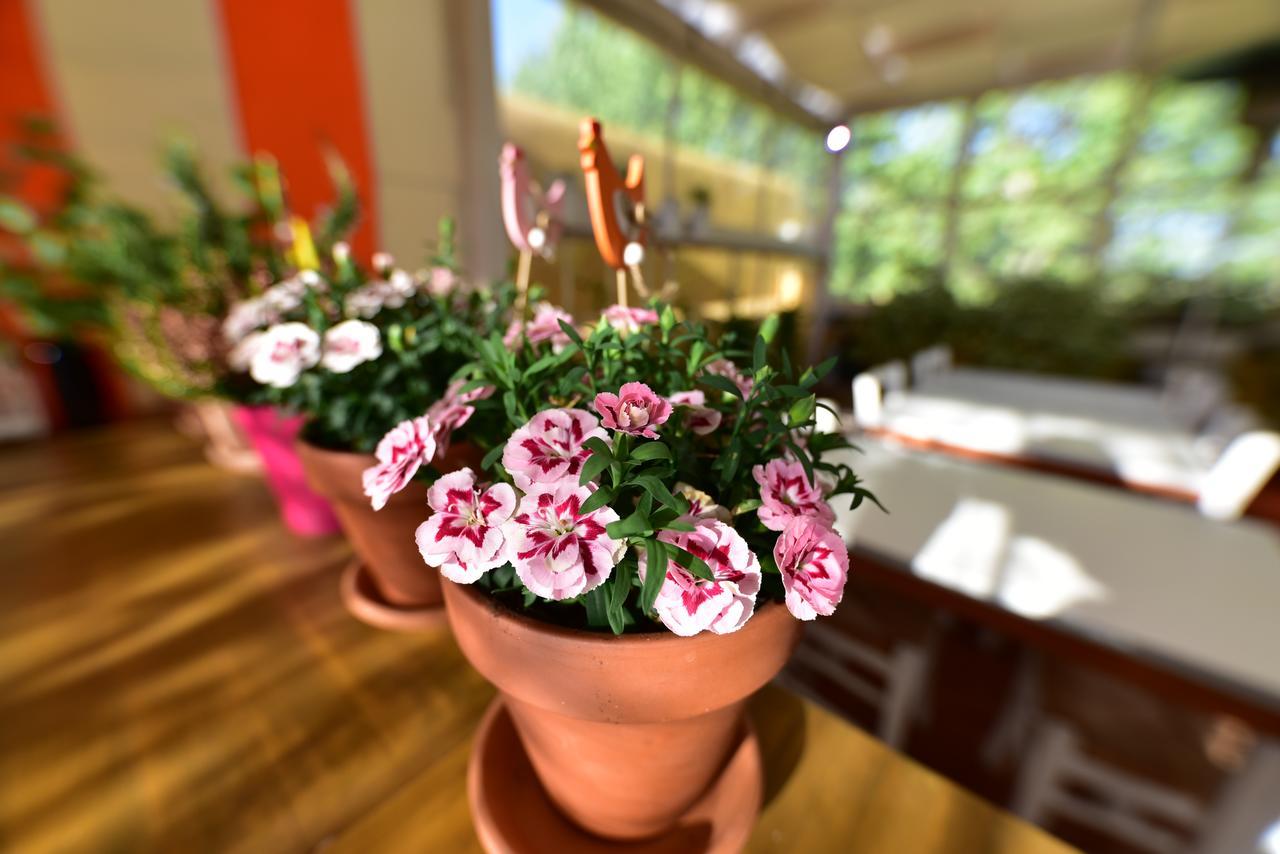 Bed & Breakfast Quodlibet Rome