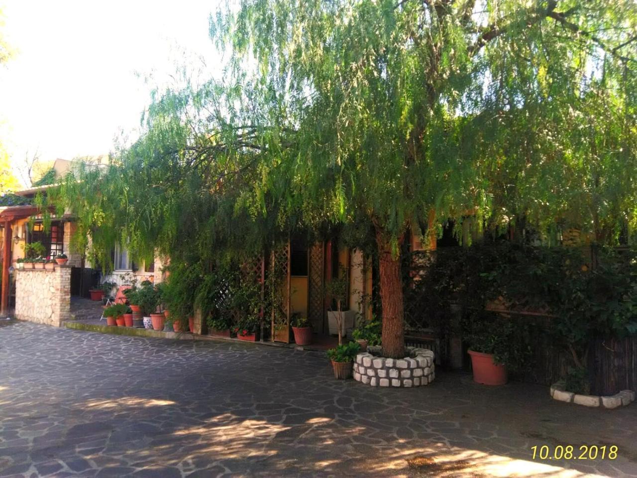 I Gerani Rossi Guest house Rome