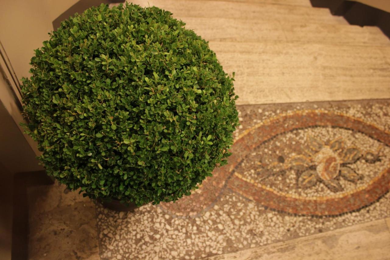 Guest house Millina In Navona 3*